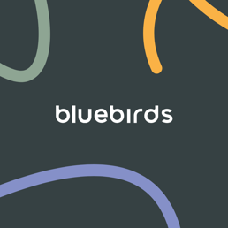 Bluebirds Marketing B.V.