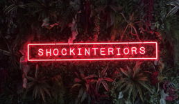 Shockinteriors 
